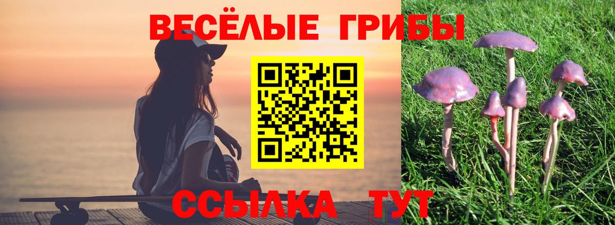 Галлюциногенные грибы GOLDEN TEACHER  цены наркотик  Псилоцибиновые грибы прущие грибы  Губаха  Вход с VPN 